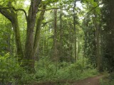 Seattle_ 026