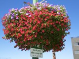 Seattle_ 057