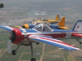 A YAK55 leads a formation
