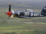 Stu Davidson's Sea Fury