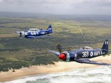 Stu Davidson's Sea Fury and Harvard over the Eastern Cape coast