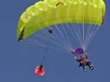 Skydiver