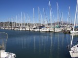 SF_ 1576 - Sausalito small craft harbour