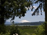 USA_58 - Mt St Helen's from the visitors centre near Castle Rock and 30 miles to the volcano
