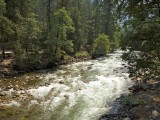 Yosemite_ 1960 - the Merced River