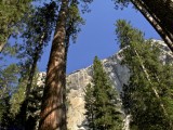 Yosemite_ 2175 - El Capitan